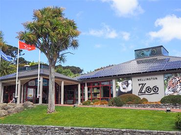 Wellington Zoo