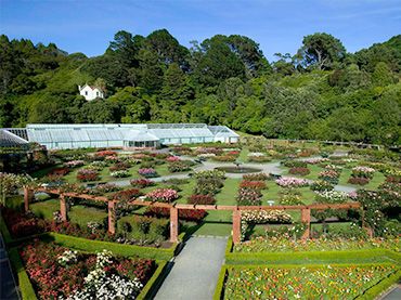 Wellington Botanic Gardens